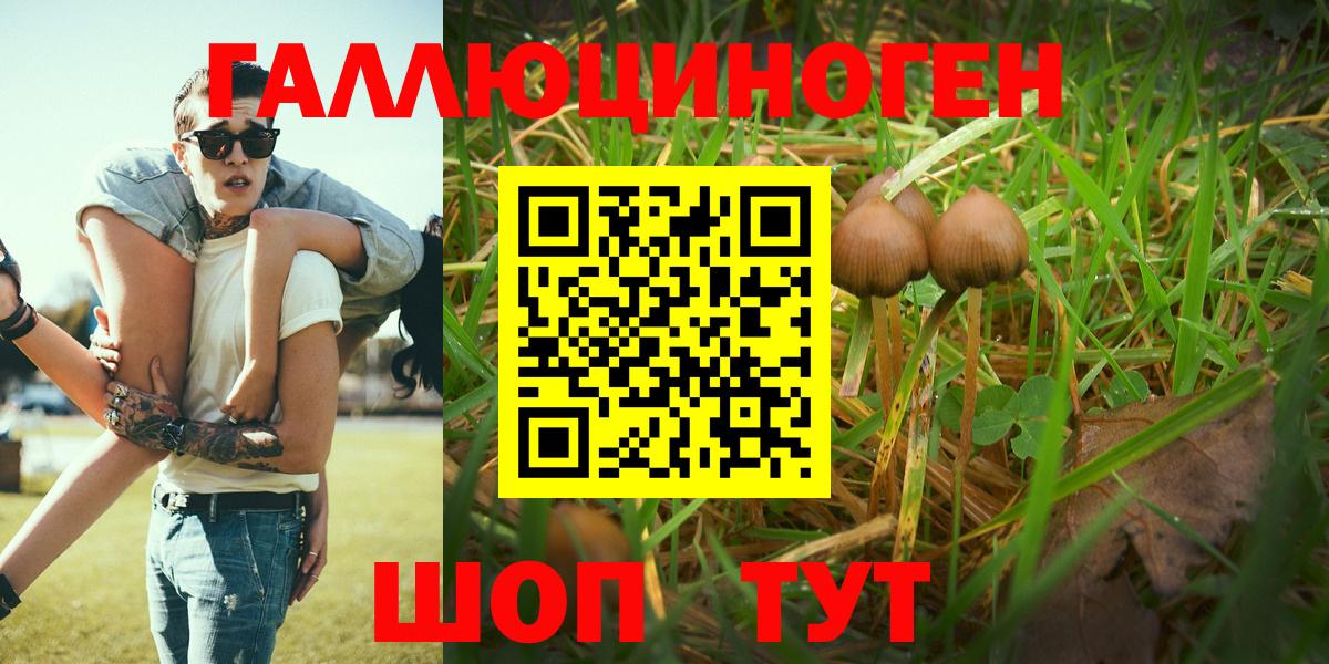 Галлюциногенные грибы мухоморы Нарьян-Мар